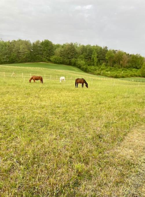 Appartamento In Cascina -La Cascinetta Di Ali- Roatto Εξωτερικό φωτογραφία